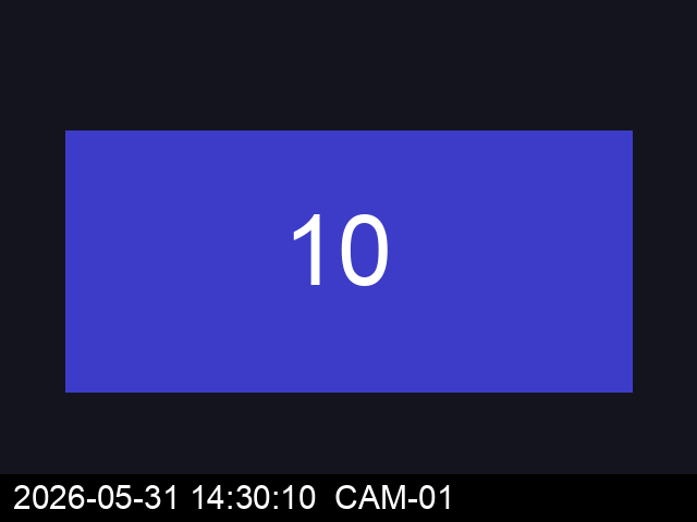 Synthetic frame at ten seconds, on-screen clock 14:30:10